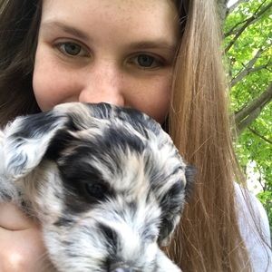 Meet your Posher, Maddie